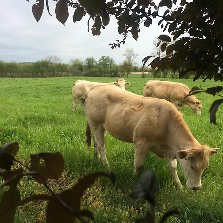 Aux Agreous Ju-Belloc