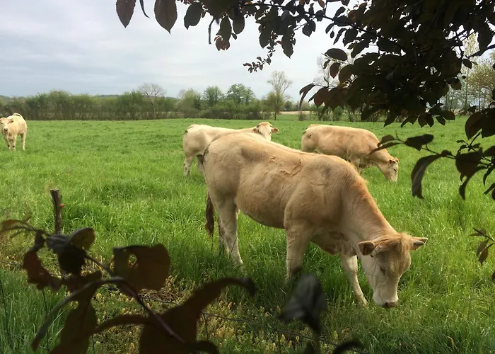 Aux Agreous Ju-Belloc