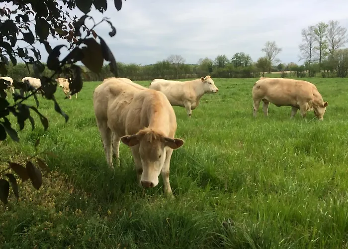 Aux Agreous Vakantiehuis